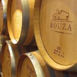 Bouza Winery only Lunch (Esp, Eng, Port) - Final Thoughts: Is It Worth It?