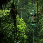 Braulio Carrillo 6 in 1 Full Day Pass with Optional Transfer - Who Will Love This Tour?