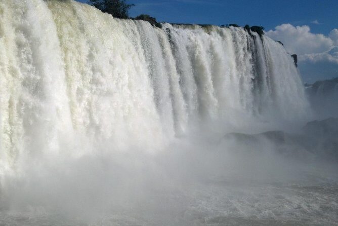 Brazilian Falls Bird Park and Itaipu Dam from Puerto Iguazu - Who Should Book This Tour?