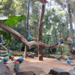 Brazilian Falls, Parque das Aves and Itaipu, hotels in Brazil - Authentic Insights from Travelers