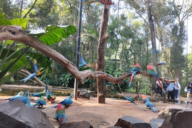 Brazilian Falls, Parque das Aves and Itaipu, hotels in Brazil - Authentic Insights from Travelers