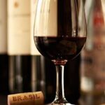 Brazilian Meats and Snacks + South American Wines Guided Dinner - The Value Proposition: Why You Should Consider This Experience