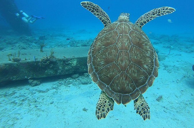 Brewers Bay Beach and Snorkel Adventure - Frequently Asked Questions