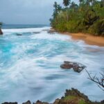 BRIBRI Chocolate tour & Cahuita National park from San Jose - What Makes This Tour Stand Out