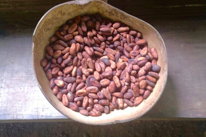 BriBri Indigenous Village Chocolate Tour, Cahuita and Waterfalls - Who Should Consider This Tour?