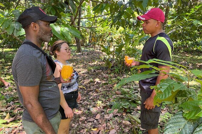 Bribri Magic Chocolate and Waterfall Experience - FAQ