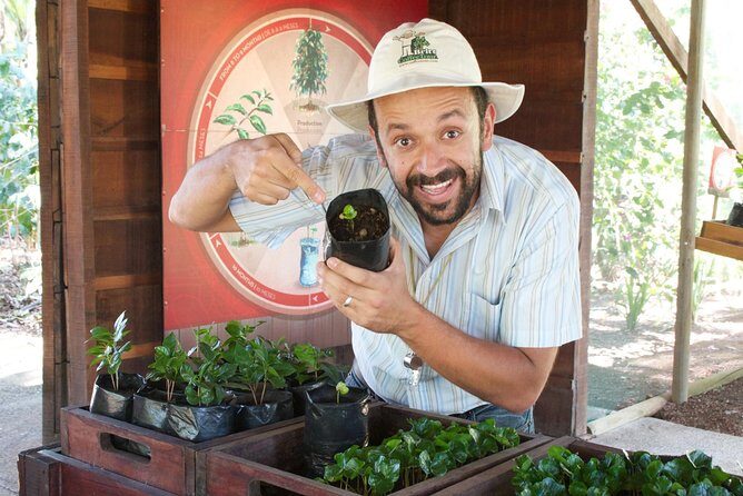 Britt Coffee Tour from San José - Why This Tour Works for Travelers