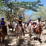 Buena Vista Mega Combo Adventure - Authentic Experiences and Practical Details