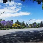 Buenos Aires Classic City Tour with Colon Theatre Optional - Who Should Consider This Tour?