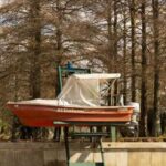 Buenos Aires: Classic Delta of Tigre Boat Tour - Exploring the Tigre Delta: What You Can Expect