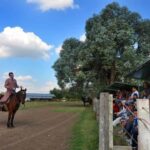 Buenos Aires: Don Silvano Ranch Gaucho Day Trip - Authenticity and Value