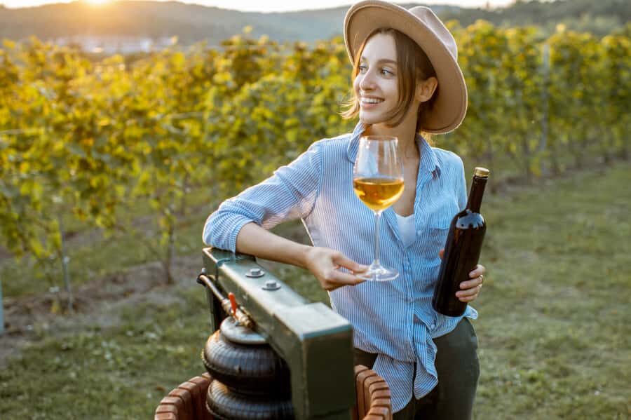 Buenos Aires: Mendoza Wine Paradise Day Trip with Airfare - Final Thoughts: Is This Tour for You?