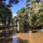 Buenos Aires: Private Delta Boat Tour with Barbecue onboard - The Sum Up