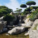 Buenos Aires Private Tour Discovering Palermo, The Japanese & Botanical Gardens - Why This Tour Delivers Great Value