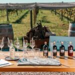 Buenos Aires: Wine tasting and lunch at Bodega Gamboa - Frequently Asked Questions (FAQs)