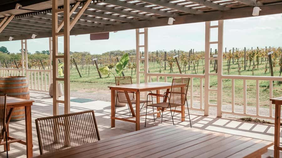 Buenos Aires: Wine Tasting and Lunch at Bodega Gamboa - The Vinous Journey: A Deep Dive into the Gamboa Experience