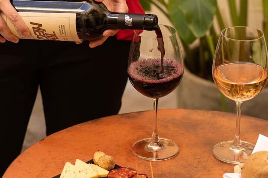 Buenos Aires: Wine Tasting Boutique - Detailed Breakdown of the Experience