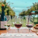 Buenos Aires: Wine Tasting & Lunch at Gamboa Vineyard - Who Should Consider This Tour?