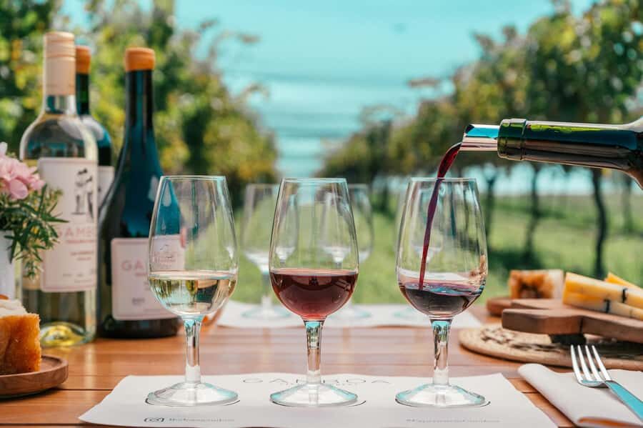 Buenos Aires: Wine Tasting & Lunch at Gamboa Vineyard - Who Should Consider This Tour?