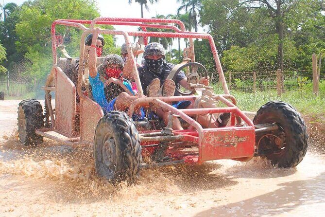Buggies Adventure from Punta Cana - Exploring the Details of the Punta Cana Buggy Tour