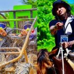 Buggies & Horses in Punta Cana: Double the Thrill in One Tour - Practical Details and Considerations