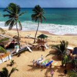 Buggies Off-road Punta Cana / Half day on the Road / Tropical Tour - FAQs