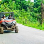 Buggy Adventure in Punta Cana Culture Beach and Cenote - Who Will Enjoy This Tour?