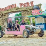 Buggy Adventure Tour with Chocolate and Coffee, Beach, Cenote, Mud - Who Should Consider This Tour?