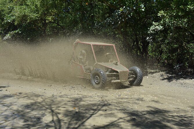 Buggy Excursion in Puerto Plata - Final Thoughts: Is This Tour For You?