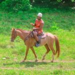 Buggy, Horse and Zip Line with Lunch included from Punta Cana - Final Thoughts: Is This Tour for You?