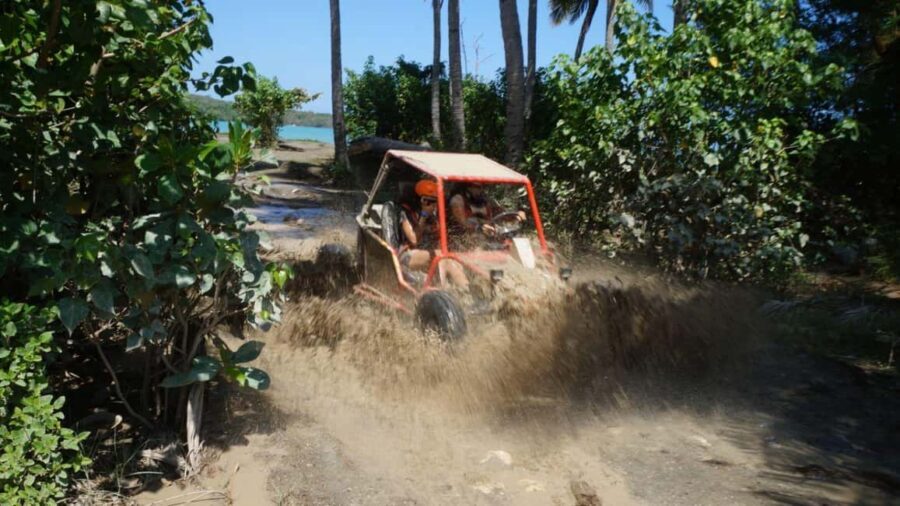 Buggy or ATV Ride, Swimming, Cenote Macao Beach Punta cana - Practical Considerations and Tips