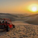 Buggy & Sandboarding in Paracas - Authentic Feedback from Past Travelers