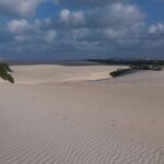 Buggy Tour along the North Coast (Genipabu) - Final Words