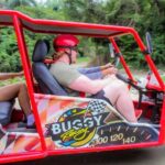 Buggy Tour Excursion in Taino Bay and Amber Cove Port - What Travelers Are Saying