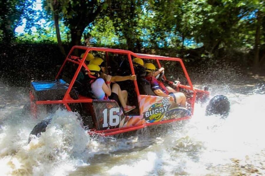 Buggy Tour Excursion in Taino Bay and Amber Cove Port - Pricing and Value