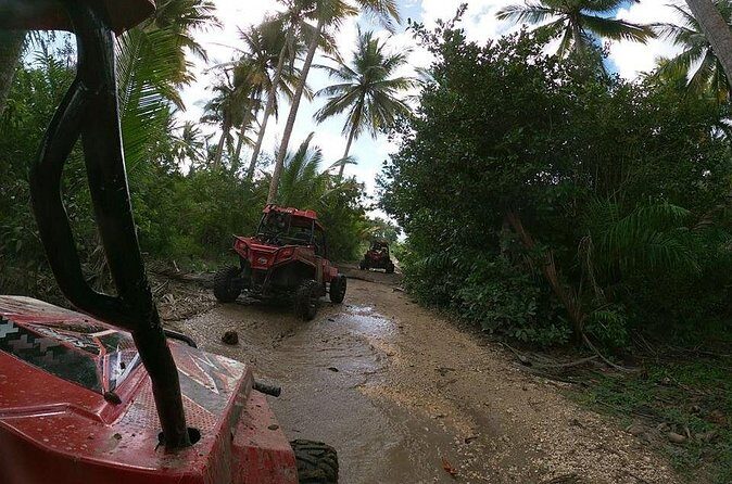 Buggy Tour from Sosua - FAQ