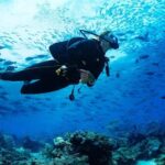 Buzios - DIVING EXPERIENCE - The Itinerary and What to Expect at Each Stop