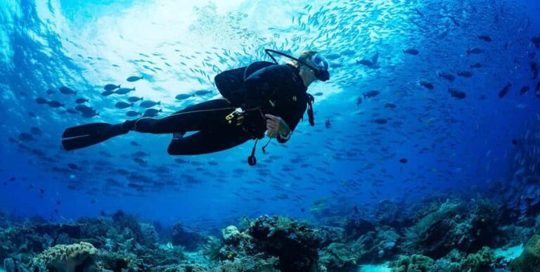 Buzios - DIVING EXPERIENCE - The Itinerary and What to Expect at Each Stop