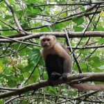 Cabo San Juan - Private Tour - Final Thoughts