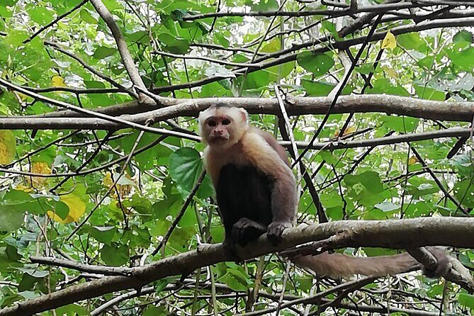 Cabo San Juan - Private Tour - Final Thoughts