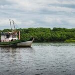 Caburé - Boat tour on the Rio Preguiças - Who Would Love This Tour?