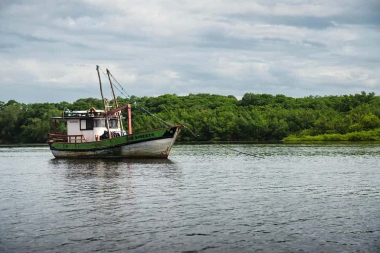 Caburé - Boat tour on the Rio Preguiças - Who Would Love This Tour?