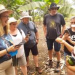 Cacao and Gastronomy Tour from Guayaquil - Exploring the Cacao and Gastronomy Tour in Detail