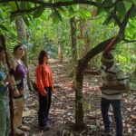 Cacao and Medicinal Plants Ceremony Private Guide - Who Should Consider This Tour?
