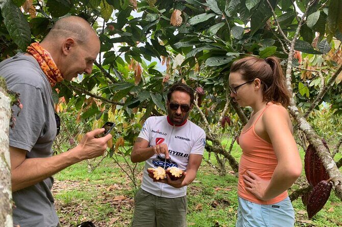 Cacao Farm & Chocolate tasting with a visit to Jubones desert - What Makes This Tour Stand Out?