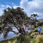 Cajas Unveiled: A Half-Day Escape from Cuenca - Who Should Consider This Tour?