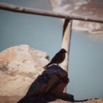 Cajón del Maipo, spa, barbecue, 4x4 cars and small groups. - The Experience in Detail