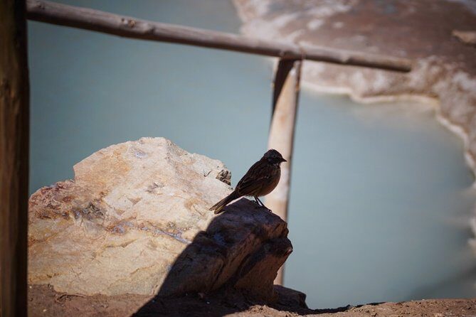 Cajón del Maipo, spa, barbecue, 4x4 cars and small groups. - The Experience in Detail