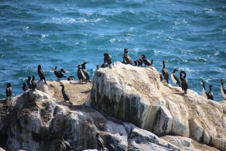 Caleta Los Hornos: Hiking archaeological sites - Final Thoughts