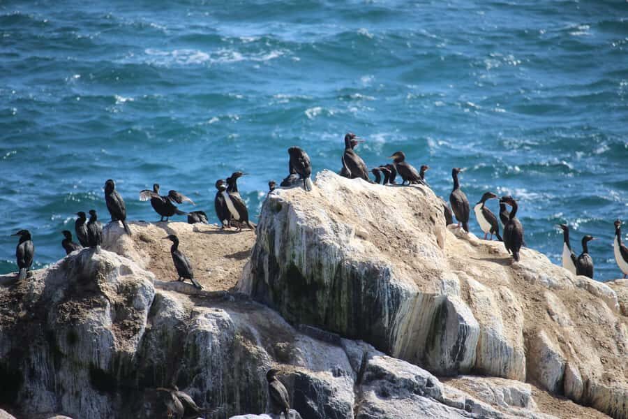 Caleta Los Hornos: Hiking archaeological sites - Final Thoughts